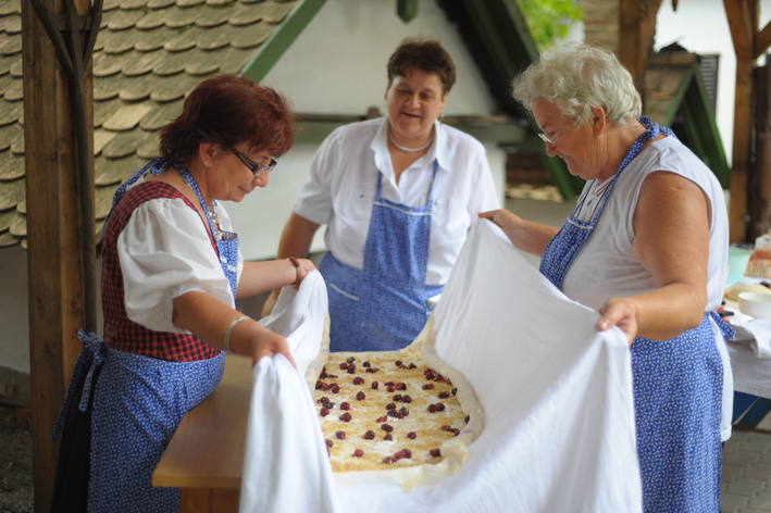 retesfoto1